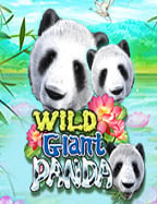 รีวิวเว็บ ขาย เกม ออนไลน์ ที่ฮิตที่สุดในขณะนี้